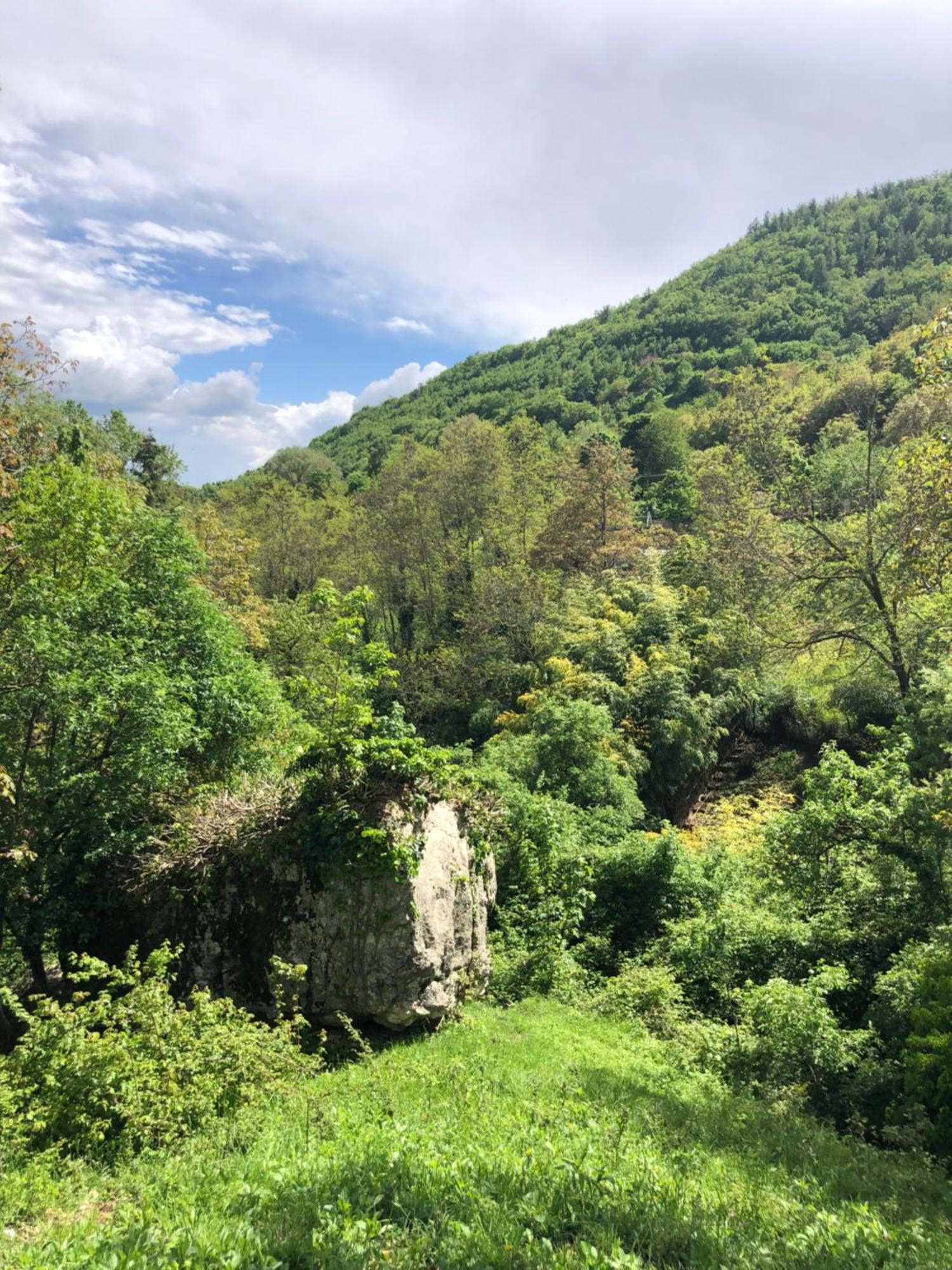 Il Mulino Dei Veraghi The Mill At The Falls Molina  Exterior photo